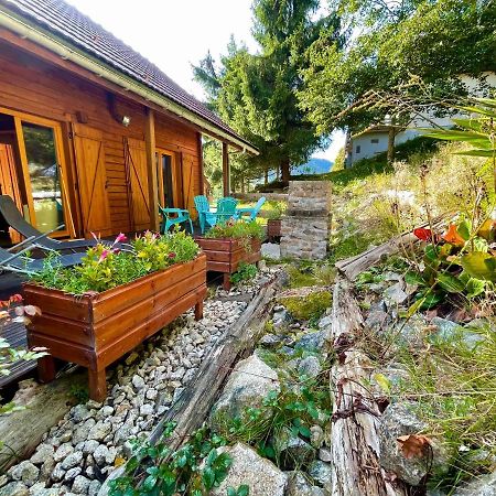 Chalet Des Feignes La Bresse Exterior foto