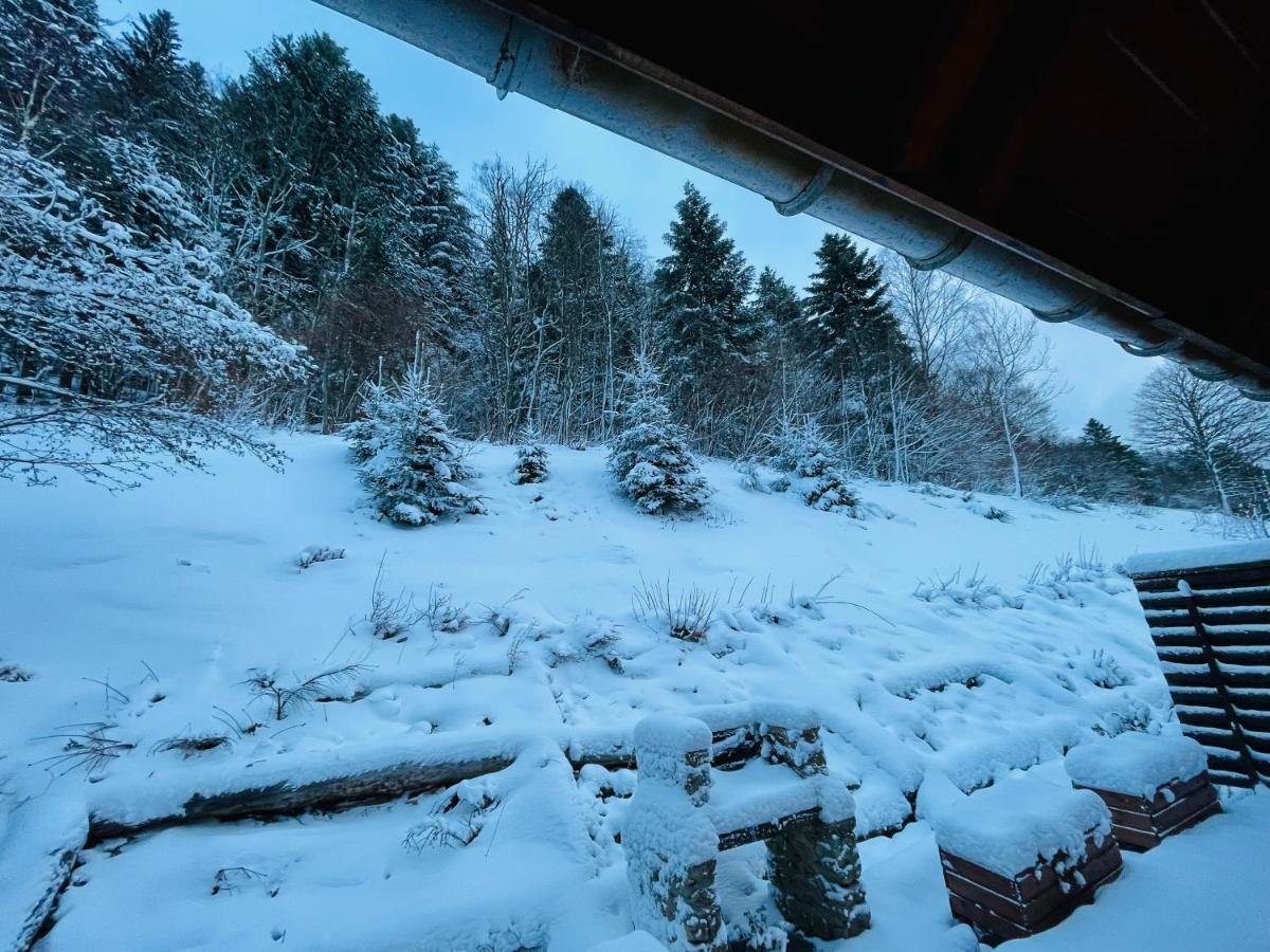 Chalet Des Feignes La Bresse Exterior foto
